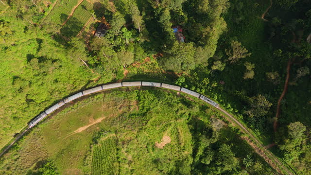 Aerial view of train passing through tea plantation on Sri Lanka