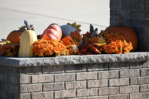Outdoor decoration using pumpkins and flowers.