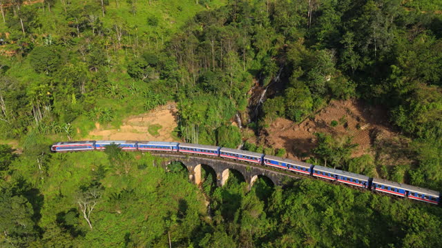Aerial view of train passing through tea plantation on Sri Lanka