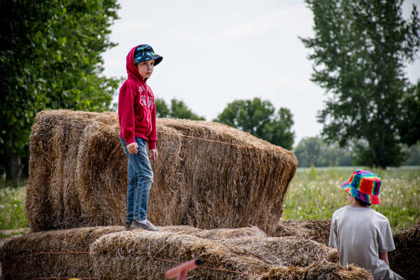 In a scene of pure joy and inclusivity, a sibling and their younger brothers playfully engage on the haystacks, celebrating the beauty of family and rural togetherness