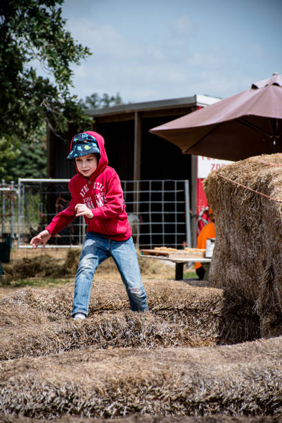Two little happy boys with arms raised to the sky jumping on rolled up hay bales on sunny day