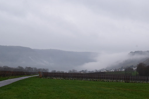 Moselle valley near Ensch