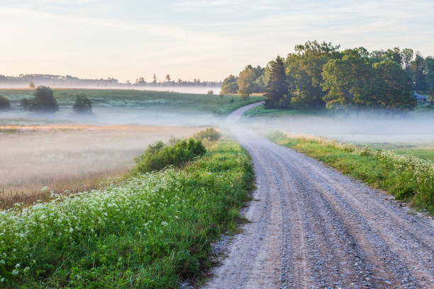 Landscape with a country road in the morning fog