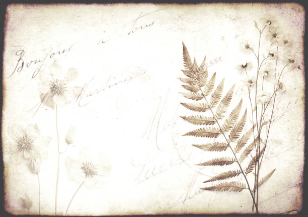 Retro background with dry pressed leaves and flowers on paper texture. Nostalgic scrapbooking backdrop with old vintage paper texture and inscription \
