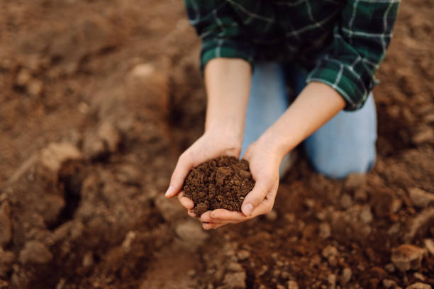istock Farmer woman holding soil in hands close-up. 2068812593