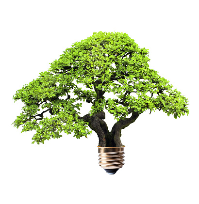 Light bulb with growing green tree. Ecological technology,  eco friendly, sustainable environment, Saving energy, conserving resource concept. Isolated on white background
