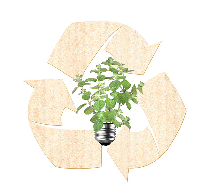 Light bulb with green leaves and paper arrows recycle symbol. Ecological technology, eco friendly, sustainable environment, Saving energy, conserving resource concept. Isolated on white background