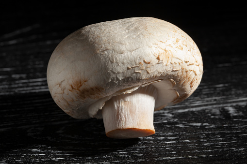 organic brown mushroom on black background
