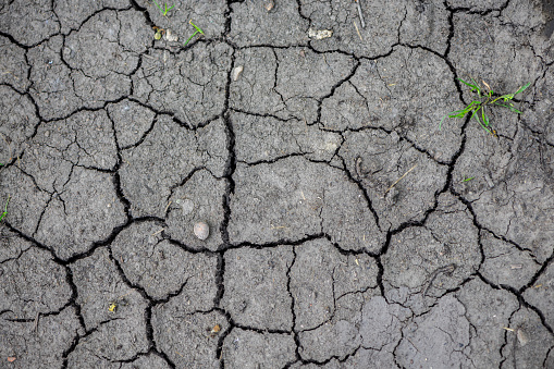 Abstract texture. Dry soil with cracks.