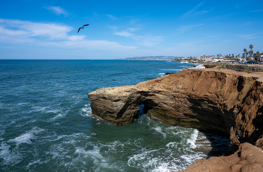 Coastline, sea gull and Pacific Ocean surf