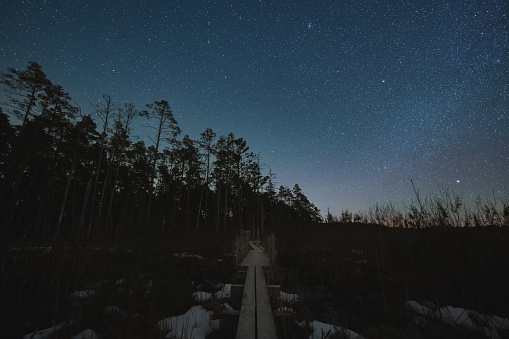Landscape astrophoto of Estonian nature in winter. Forest wooden road and starry sky. High quality photo