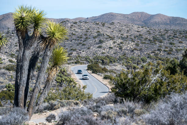 road and vehicles in a desert landscape - desert road road highway california ストックフォトと画像