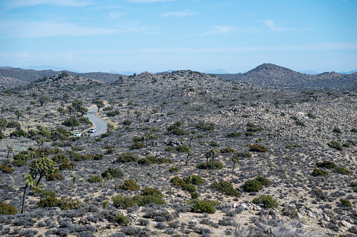 Road in a desert landscape, Joshua National Park