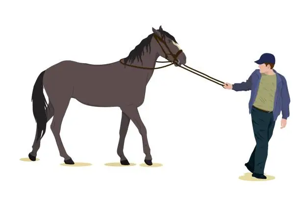 Vector illustration of vector illustration of a man pulling a horse by the reins. Isolated on a white background. The theme of equestrian sports, farming, veterinary medicine and animal husbandry