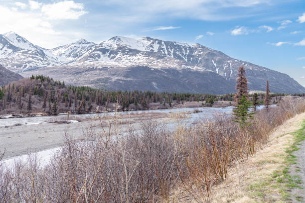Sanctuary River in Denali National Park, Alaska, USA