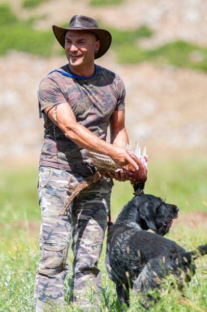 istock A dog that brings a bird shot by a hunter back to its owner. (Common Pheasant) 2068963717