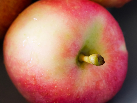 A ripe apple of the Ligol variety, a close-up shot.