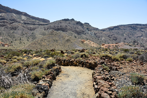 Volcanic landscape  with a way  in El Teide National Park on the Canary Island of Tenerife, Spain