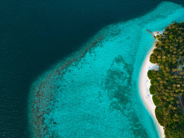 istock Maldives Islands - Travel Vacation 2068977490