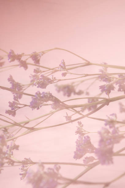 background of small pastel flowers