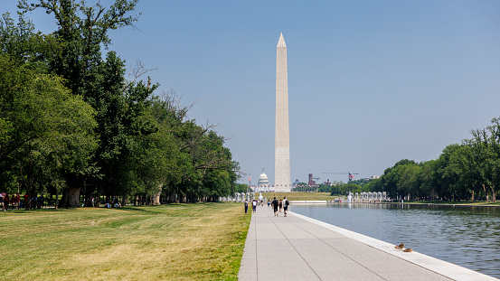 Washington Monument Grounds and obelisk over spring grass with tree panorama