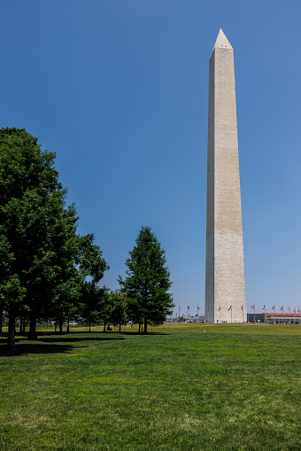 Washington Monument covered by trees in summer Washington, D.C.