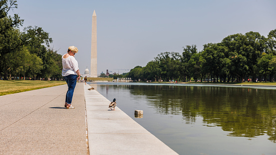 Mature Caucasian blonde female tourist looks at ducks near the Lincoln Memorial Reflecting Pool in Washington, D.C. Washington Monument and The Capitol shown in the distance