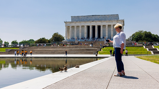 Mature blonde Caucasian female solo traveler taking photos of ducks at Lincoln Memorial Reflecting Pool in Washington, D.C. in summer