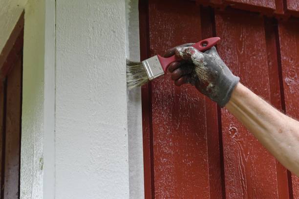 istock A man painting his house with white color 2069040025