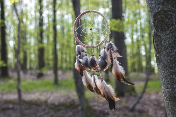 istock Dreamcatcher hanging on tree in wind in woodland 2069056437
