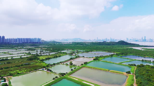 High angle view of fish farming and farmland in Hong Kong