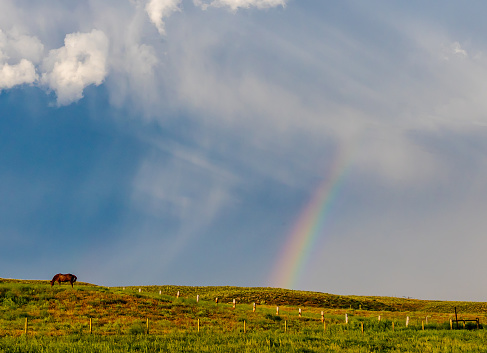A horse grazing on a field under a sky with a corkscrew storm cloud and a rainbow