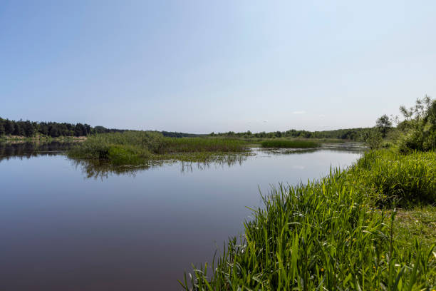 istock a wide river in eastern Europe, the Neman 2069124713