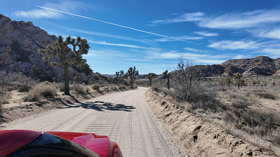 View past vehicle down rural road in desert, Joshua Tree National Park
