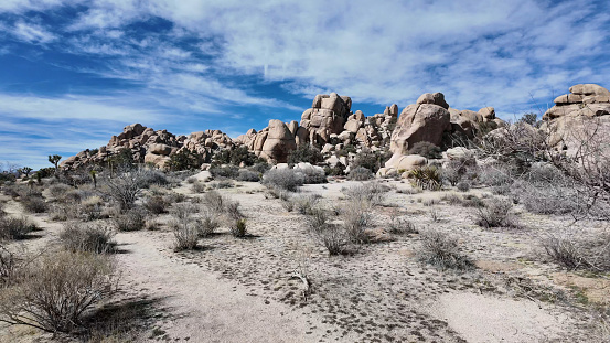 Scenic view of shrubland and rocky hills on desert, Joshua Tree National Park
