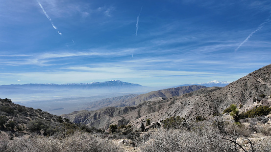 Scenic views of shrubland and mountains on desert, Joshua Tree National Park