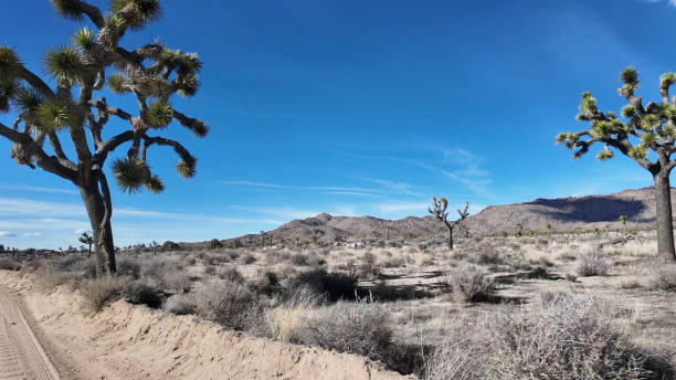 istock View down rural road in desert 2069131950
