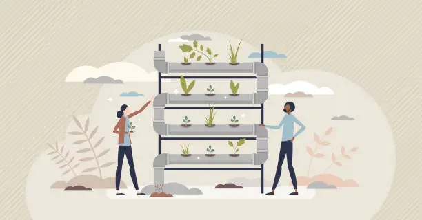 Vector illustration of Hydroponic farming as sprouts and water pipeline farming tiny person concept