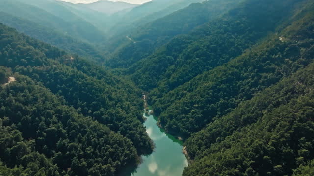 Drone point of view of dam lake between the forest mountains