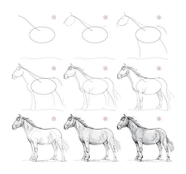 Vector illustration of Page shows how to learn to draw from life sketch a horse. Pencil drawing lessons. Educational page for artists. Textbook for developing artistic skills. Online education. Vector illustration.