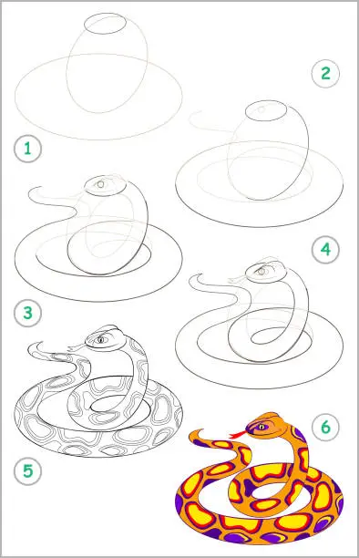 Vector illustration of Page shows how to learn step by step to draw a cute snake. Developing children skills for drawing and coloring. Vector image.