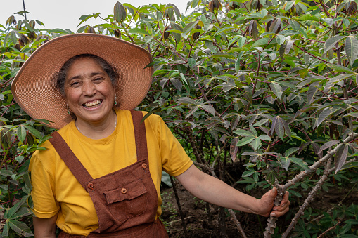 Smiling farmer holding a branch of yuca or cassava, facing the camera in a mid-body photograph. Mature woman dressed in a yellow shirt and brown overalls, exuding joy and happiness. Empowered woman in field work