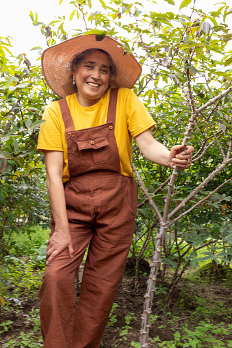 Smiling Latina adult woman standing beside her yucca plantation, dressed in cheerful colors with yellow and brown, and wearing a straw hat