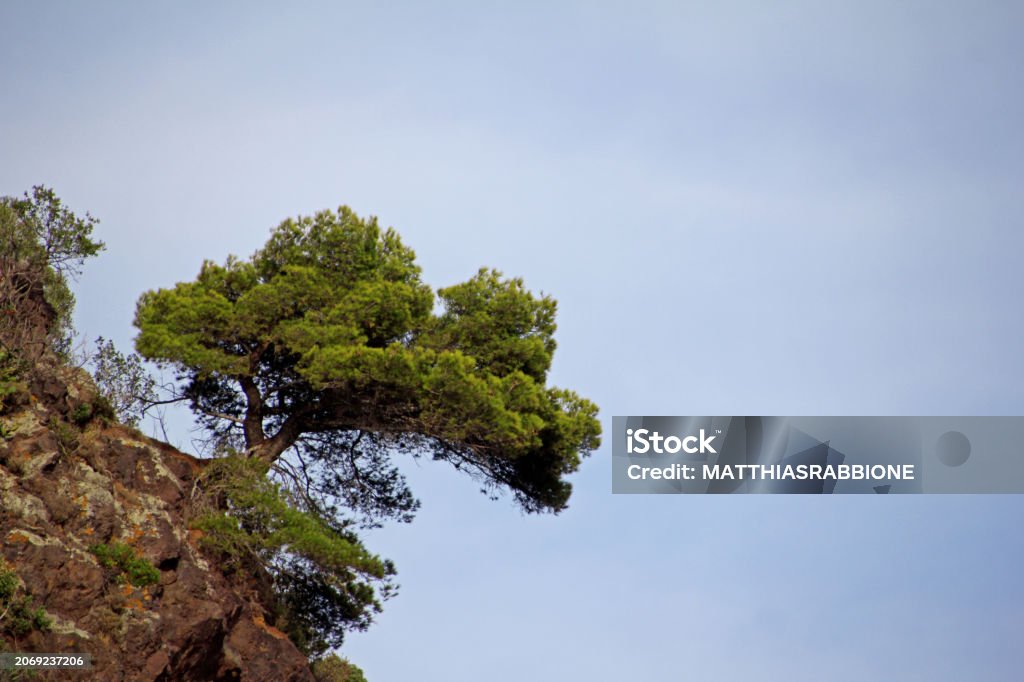 Framura Cinque terre Liguria - Foto de stock de Acantilado libre de derechos Framura Cinque terre Liguria - Foto de stock de Acantilado libre de derechos