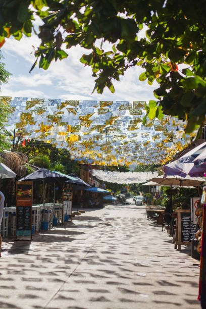 istock Small town of Mexico, San Francisco, Nayarit 2069268493