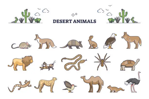 Vector illustration of Desert animals collection with hot environment habitat species outline set