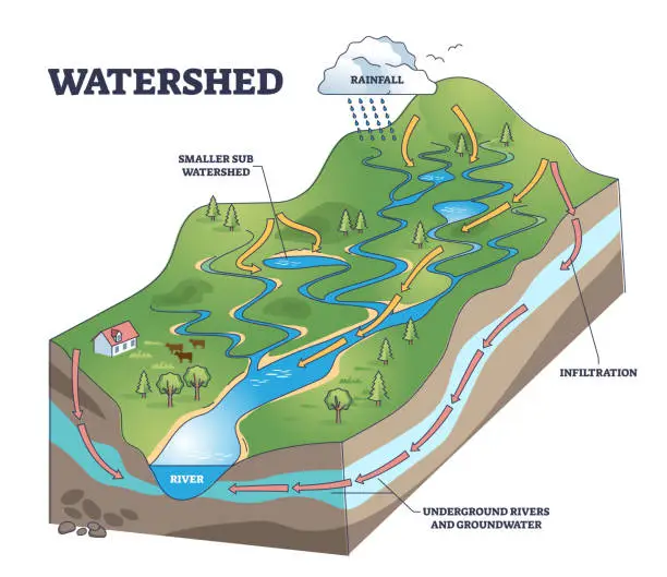 Vector illustration of Watershed as water basin system with mountain river streams outline diagram