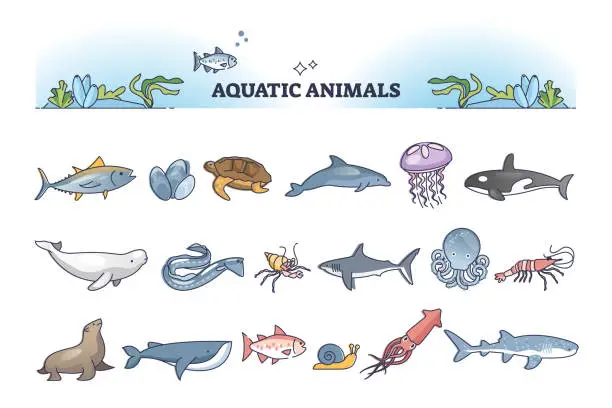 Vector illustration of Aquatic animals collection with sea and ocean wildlife outline items set