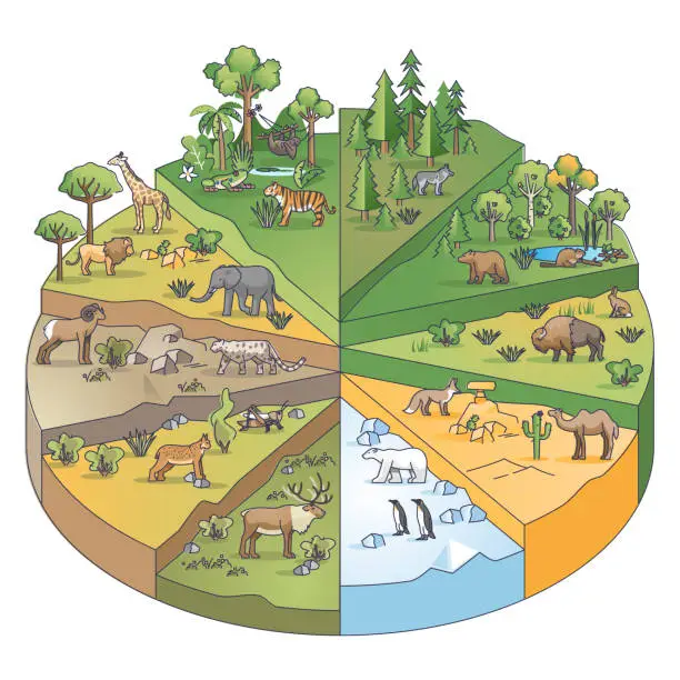 Vector illustration of Types of habitats and various ecosystems collection in pie outline diagram