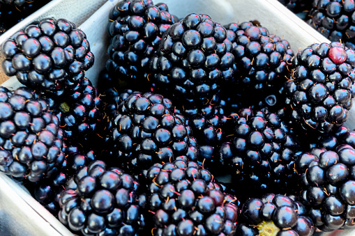 Ripe organic blackberries in containers on display at farmer's market.

Taken in Santa Cruz, California